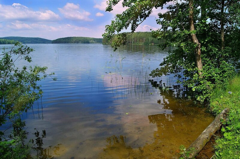 Calm lake with forested shore