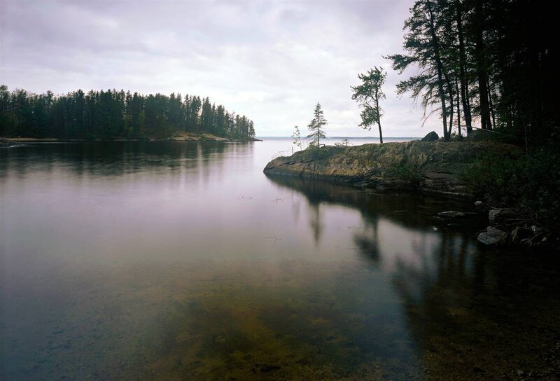 Calm lake with forested shore