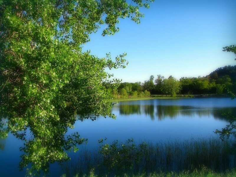 Calm lake with green trees
