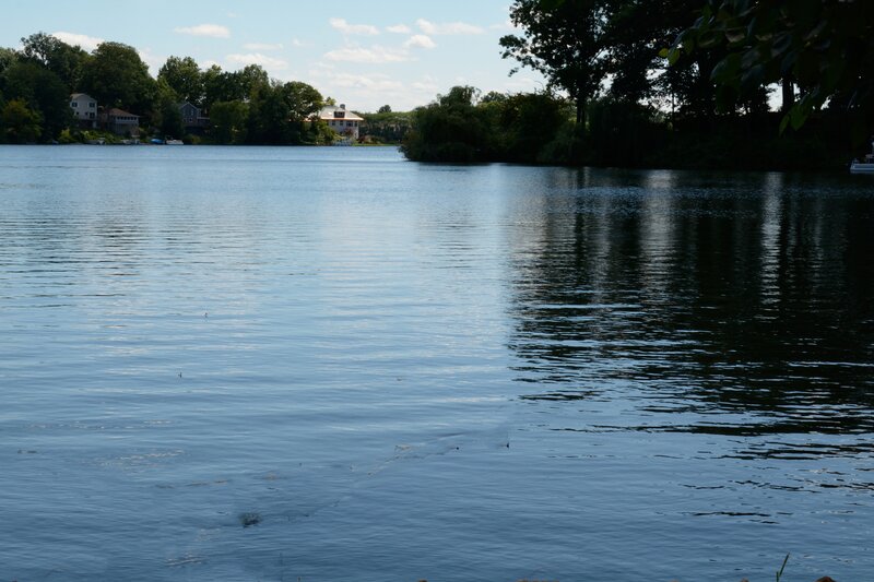 Calm Lake with Houses