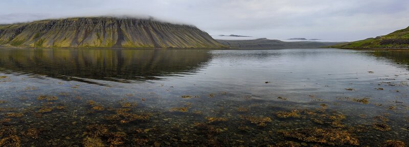 Calm Lake with Mountain — Green