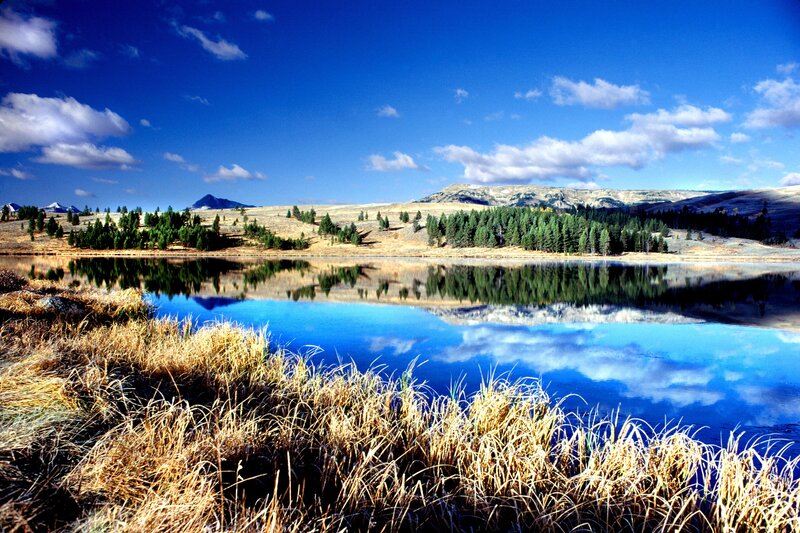 Calm Lake with Mountains — Blue, Serene, Afternoon, Photograph, Trees, Grass