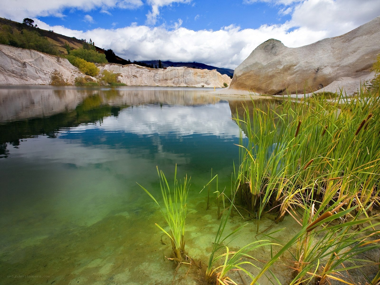 calm lake with reeds and cliffs