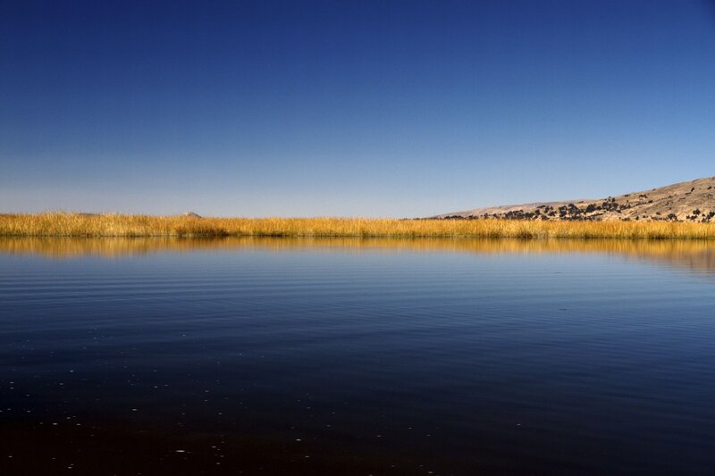 Calm Lake with Reeds — Blue, Serene, Afternoon, Photograph