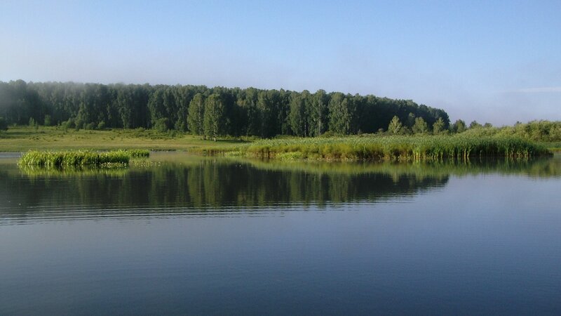 Calm Lake with Reeds — Blue, Serene, Morning, Photograph