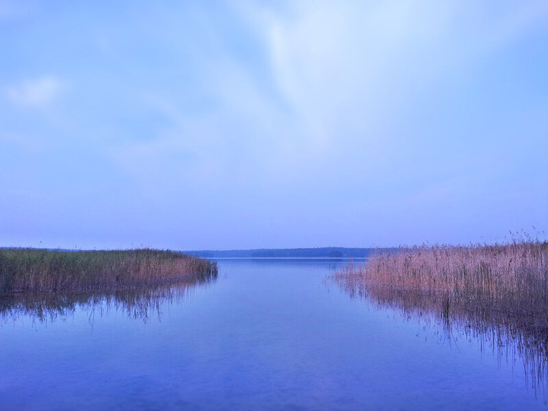 Calm Lake with Reeds — Blue, Serene