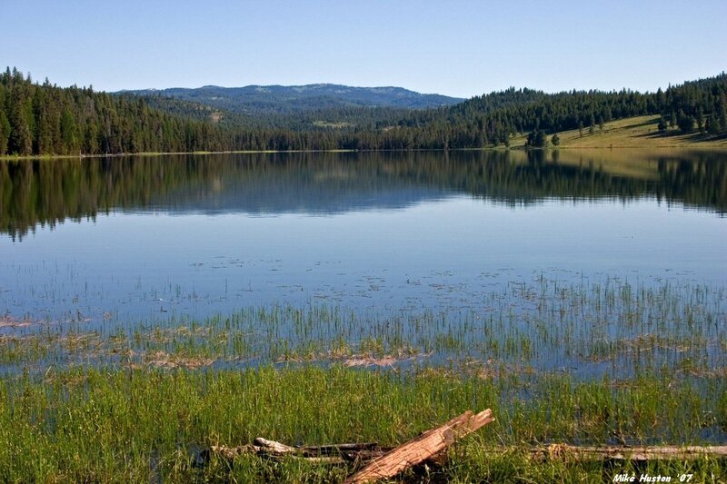 Calm Lake with Reeds — Blue