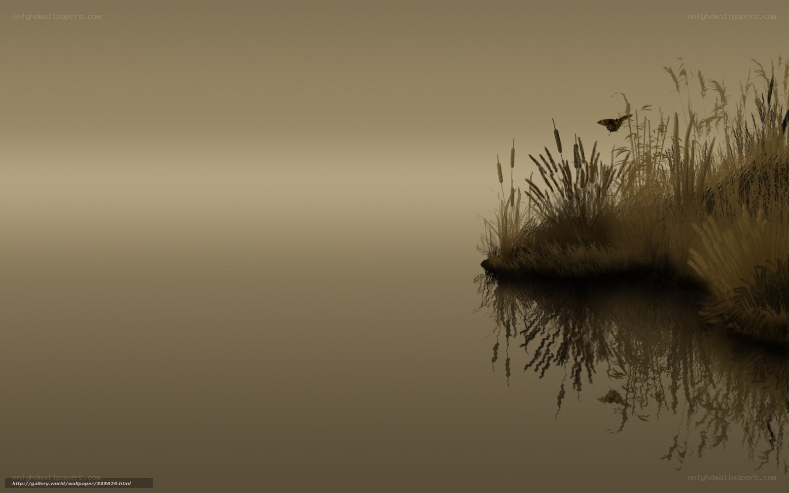 Calm lake with reeds