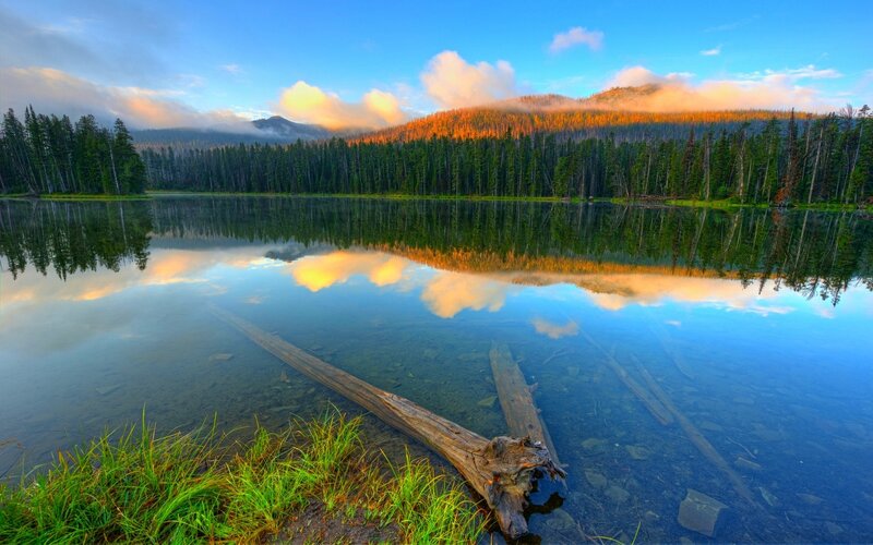 Calm Lake with Reflection — Blue