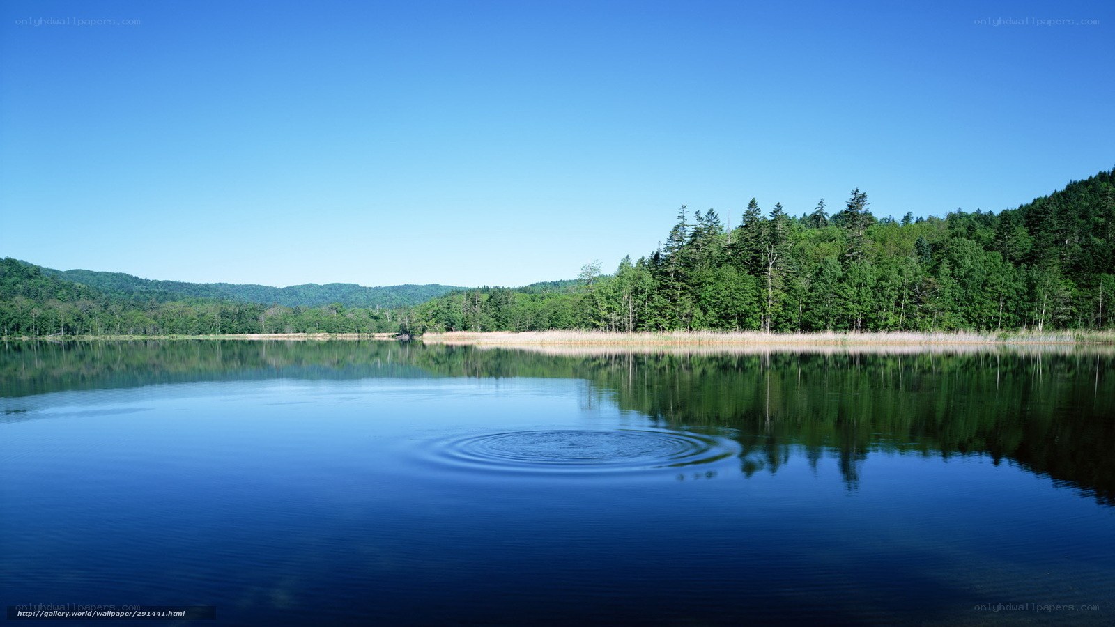 Calm lake with ripples