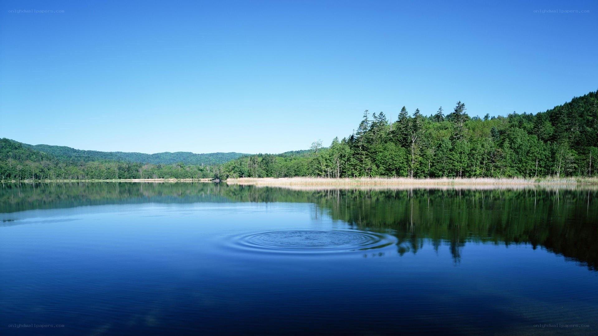 Calm lake with ripples