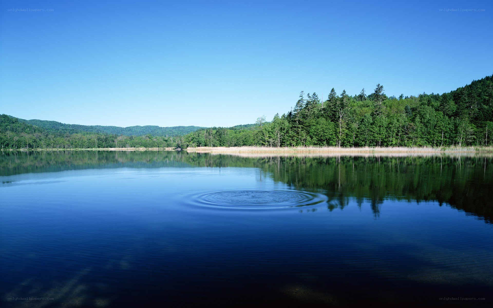Calm lake with ripples