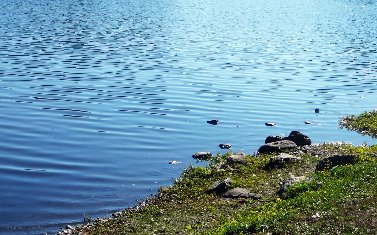 calm lake with ripples