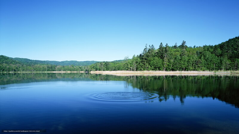 Calm Lake with Ripples — Blue, Serene, Afternoon, Photograph