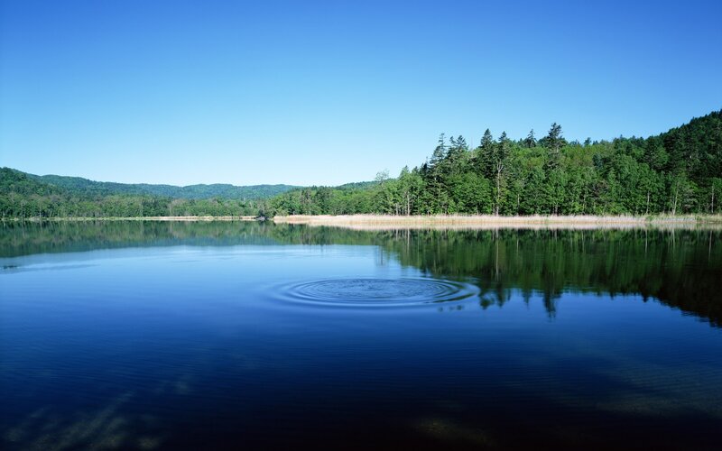 Calm Lake with Ripples — Blue, Serene, Afternoon, Photograph, Trees, Sky, Green