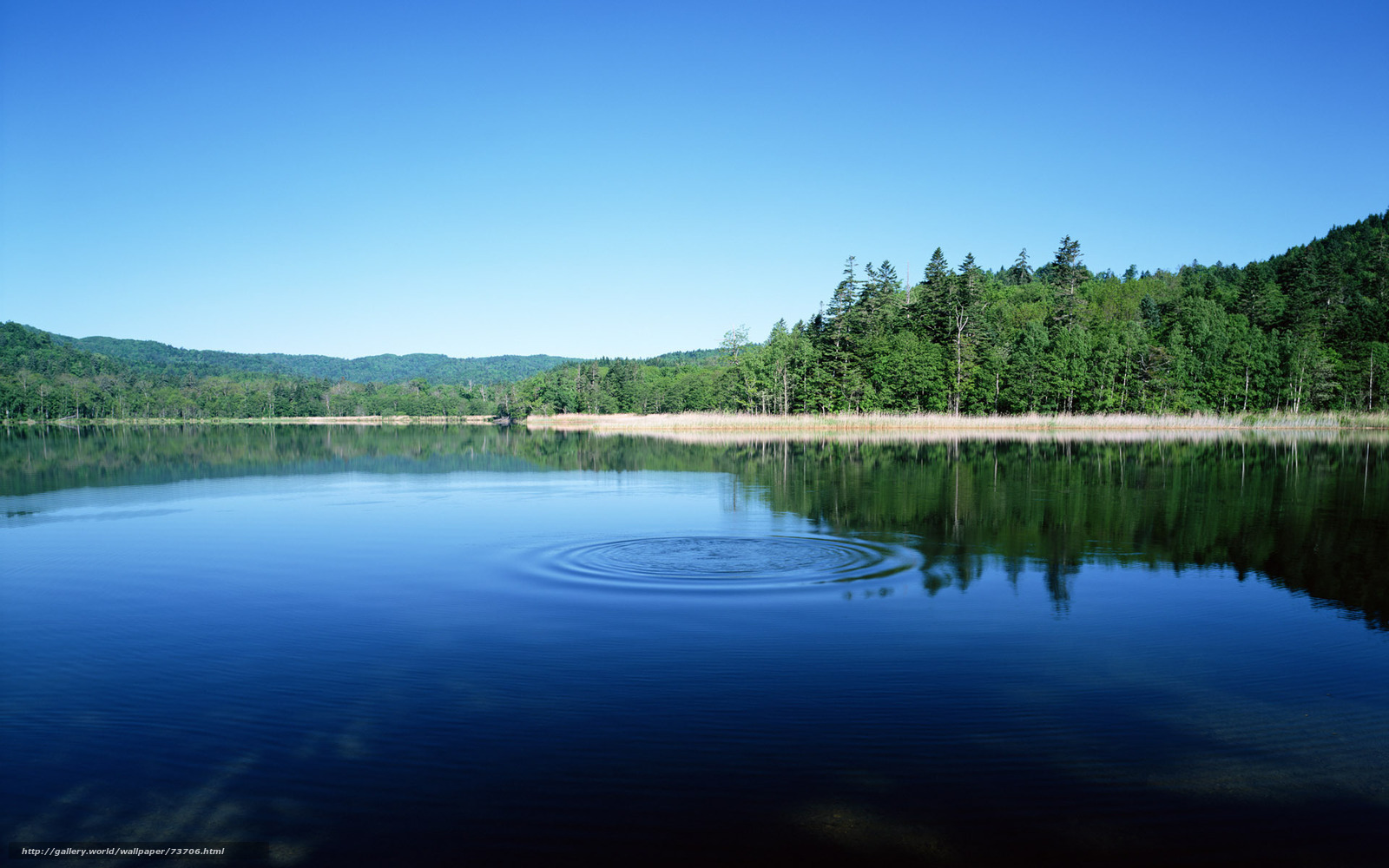 Calm lake with ripples