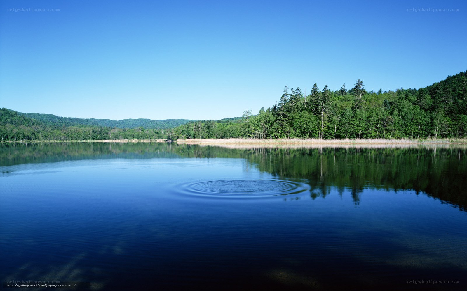 Calm lake with ripples