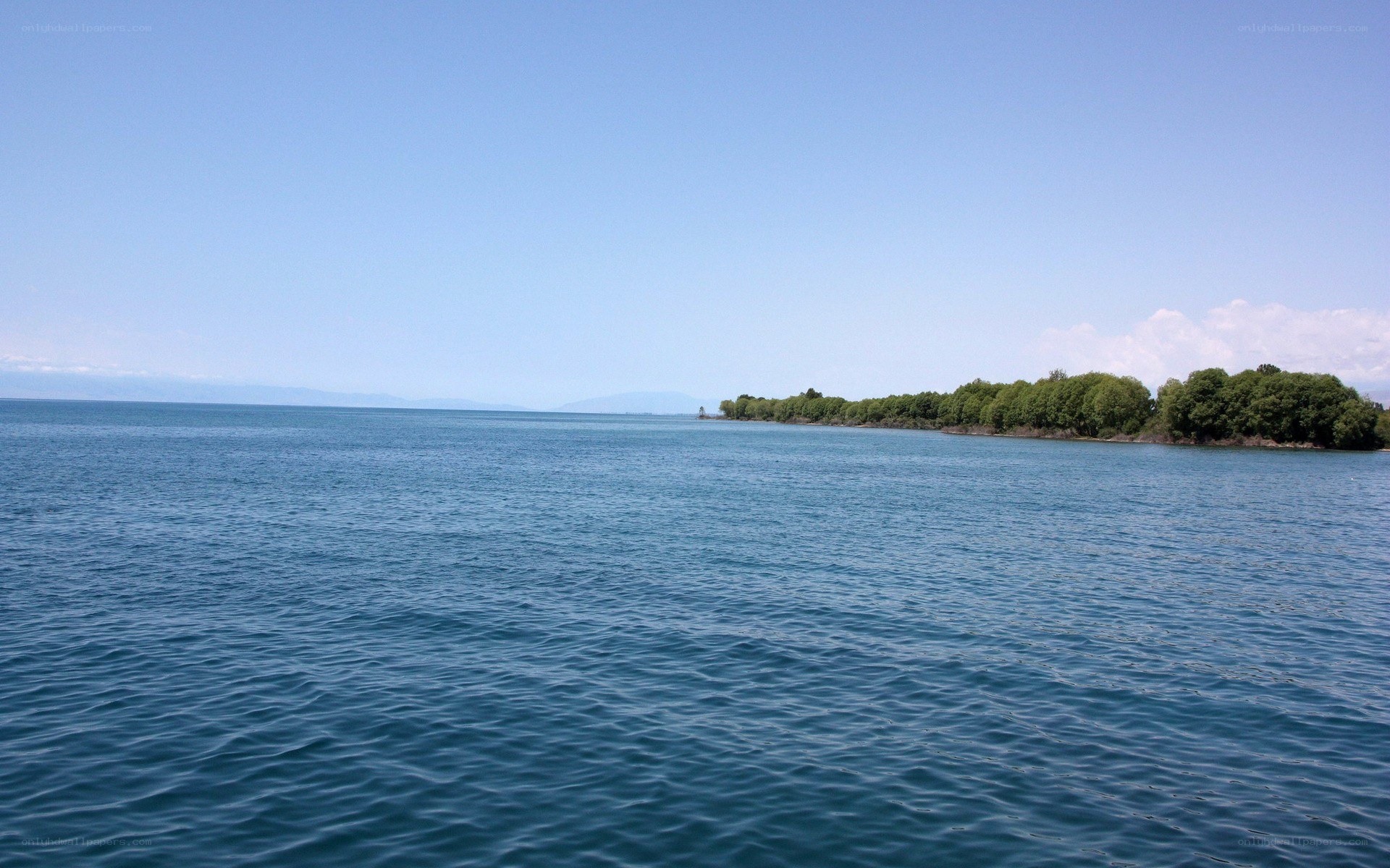 calm lake with tree-lined shore