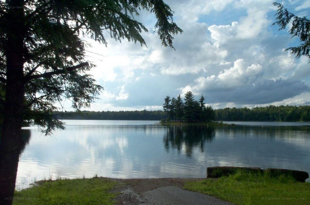 Calm lake with tree-lined shore