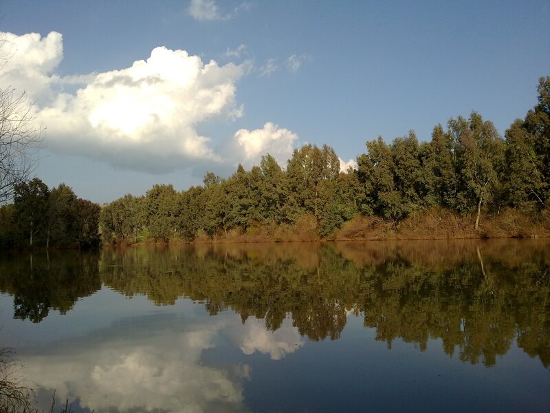 Calm lake with tree reflection