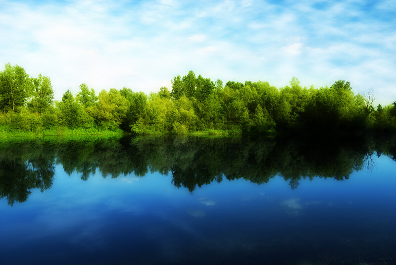 Calm lake with tree reflection