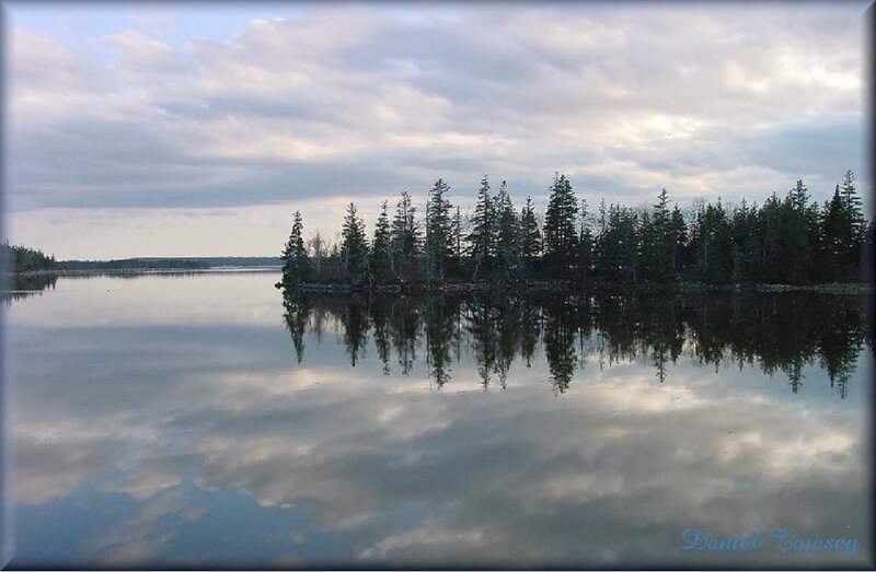 calm lake with tree reflection