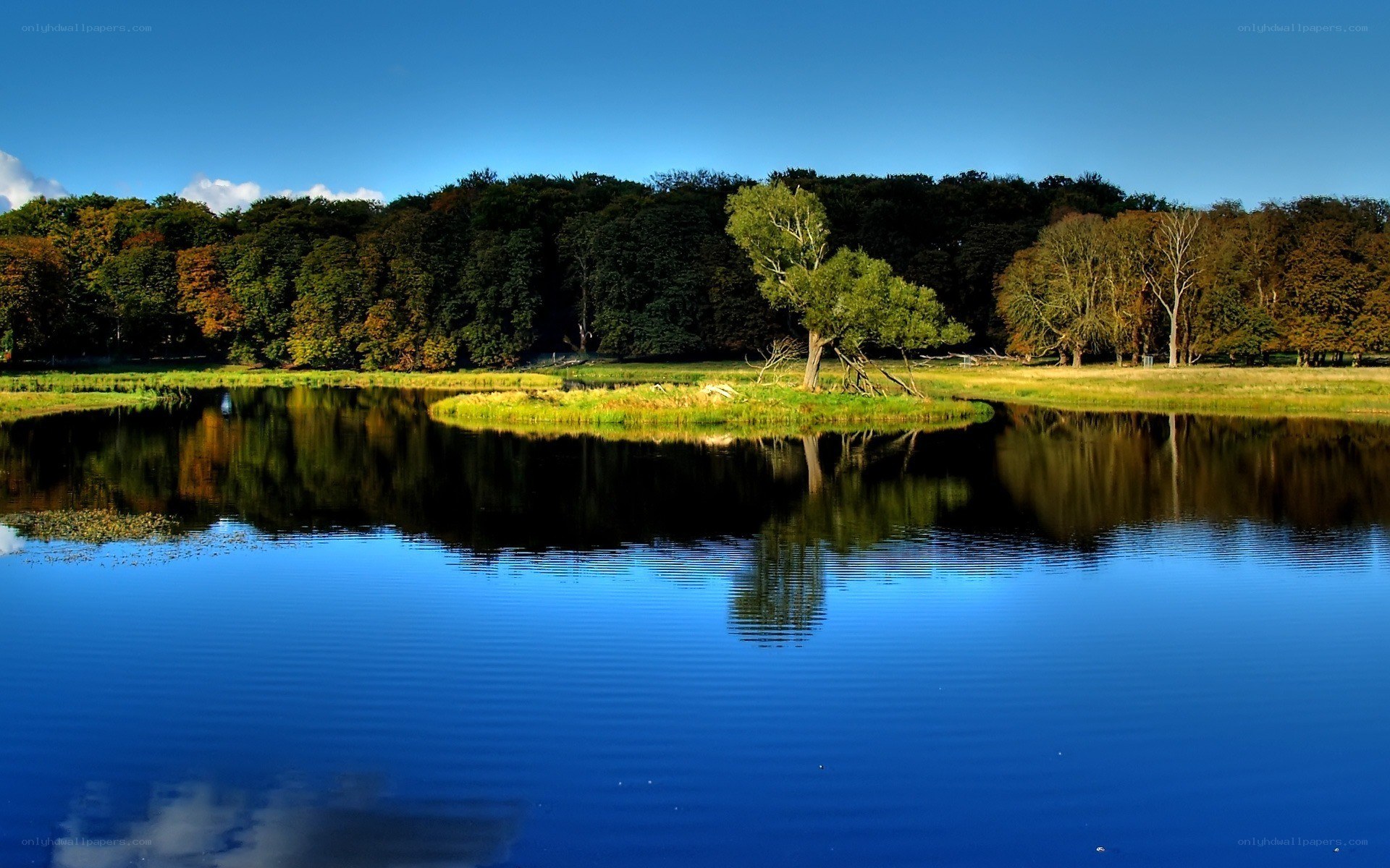Calm lake with tree reflection
