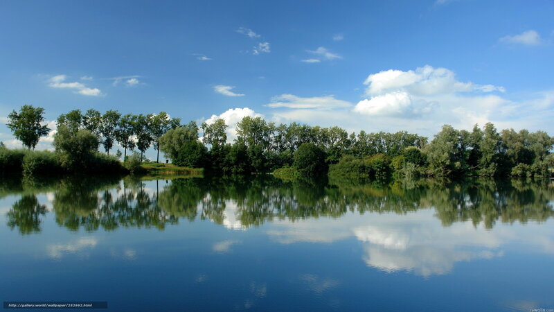 Calm lake with tree reflection