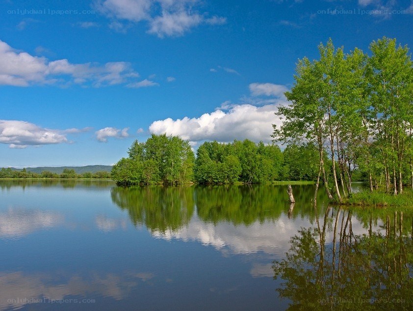 Calm lake with tree reflections