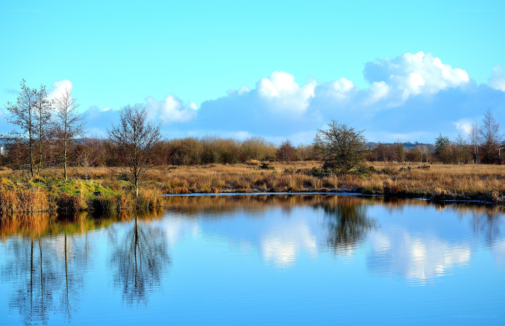 Calm lake with tree reflections