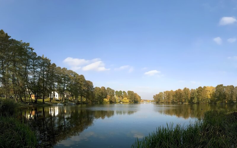 Calm lake with trees and houses