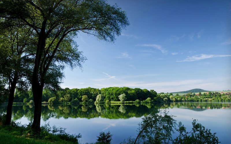 Calm lake with trees and reflection