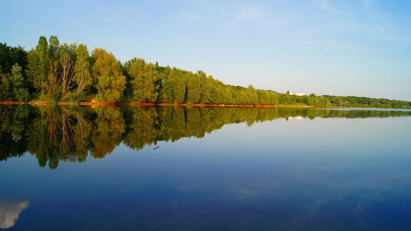 Calm Lake with Trees — Blue, Serene, Afternoon, Photograph, Reflection
