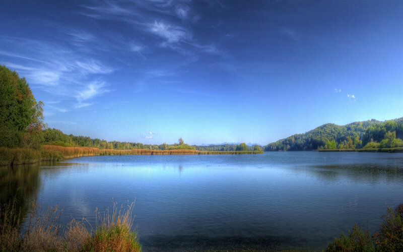 Calm Lake with Trees — Blue, Serene, Afternoon, Photograph, Sky, Reeds