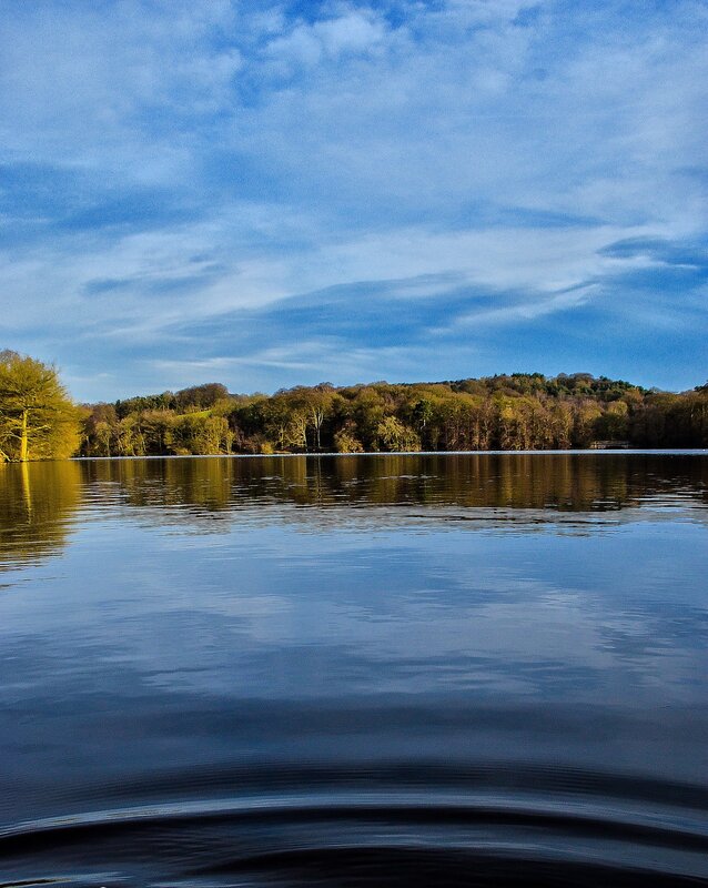 Calm Lake with Trees — Blue, Serene, Afternoon, Photograph, Sky, Reflection, Green