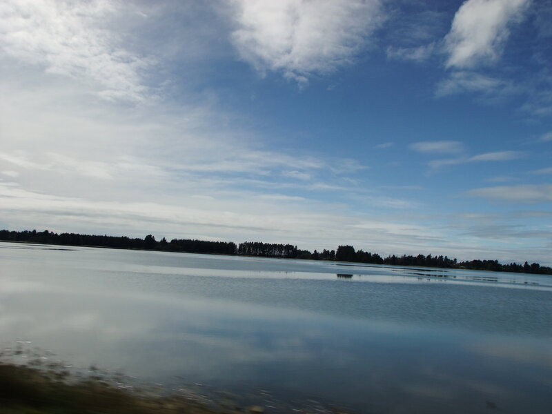 Calm Lake with Trees — Blue, Serene, Afternoon, Photograph, Sky