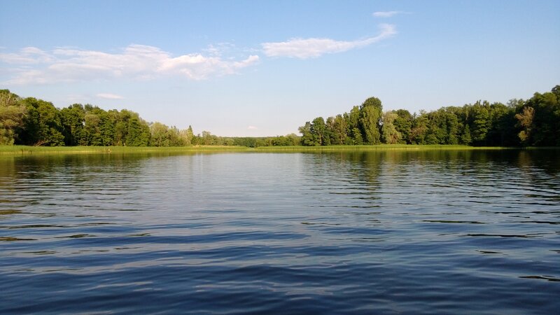 Calm Lake with Trees — Blue, Serene, Afternoon, Photograph, Sky, Water