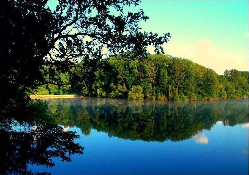 Calm Lake with Trees — Blue, Serene, Morning, Photograph, Reflection