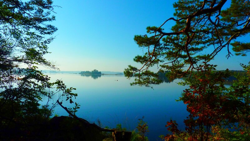 Calm Lake with Trees — Blue, Serene, Morning, Photograph, Sky