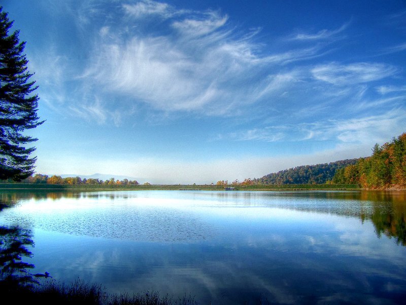 Calm Lake with Trees — Blue, Serene, Morning