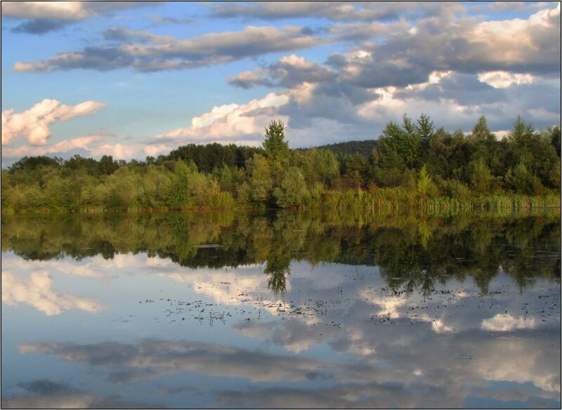 Calm Lake with Trees — Blue, Serene, Sunset, Photograph