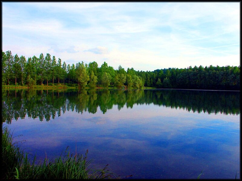 Calm Lake with Trees — Blue, Serene, Sunset