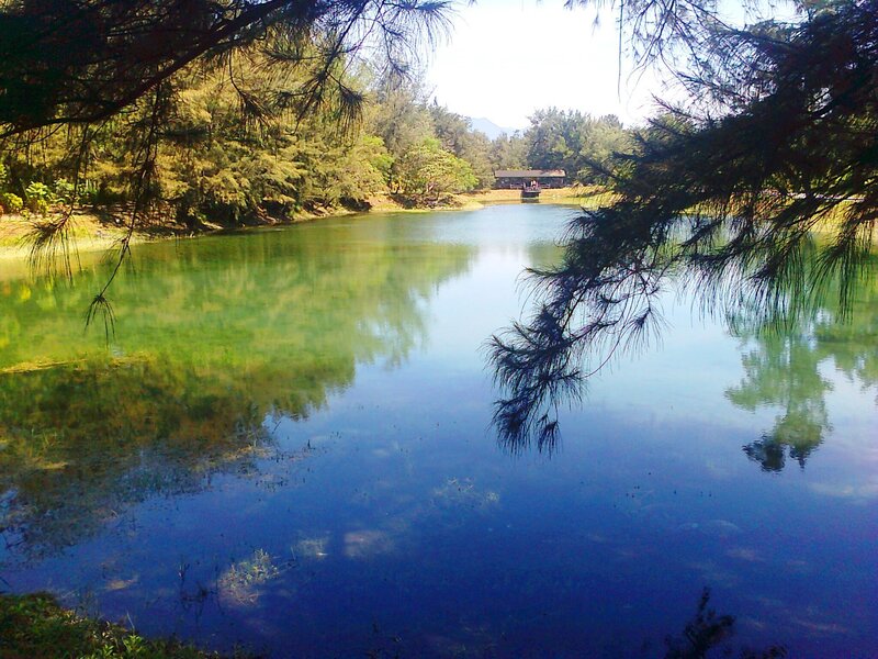 Calm Lake with Trees — Blue, Serene