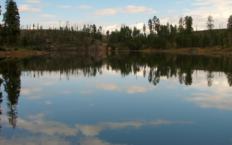 Calm Lake with Trees — Blue