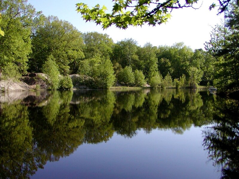 Calm Lake with Trees — Green, Serene, Afternoon, Photograph, Reflection, Sky