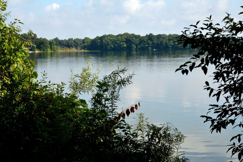 Calm Lake with Trees — Green, Serene, Afternoon, Photograph, Sky