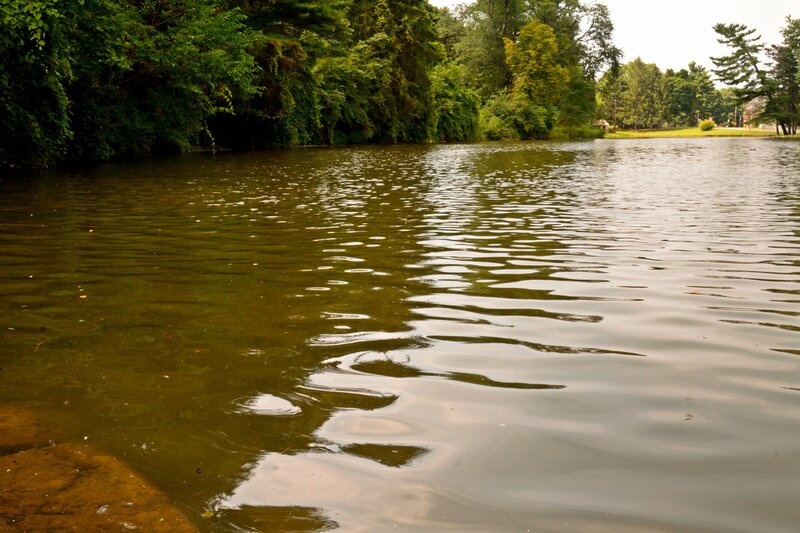 Calm Lake with Trees — Green, Serene, Afternoon, Photograph, Water