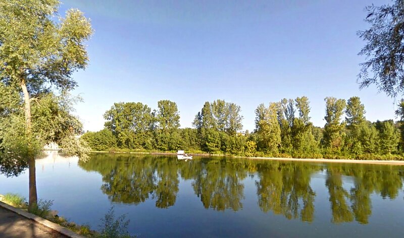 Calm Lake with Trees — Green, Serene, Afternoon