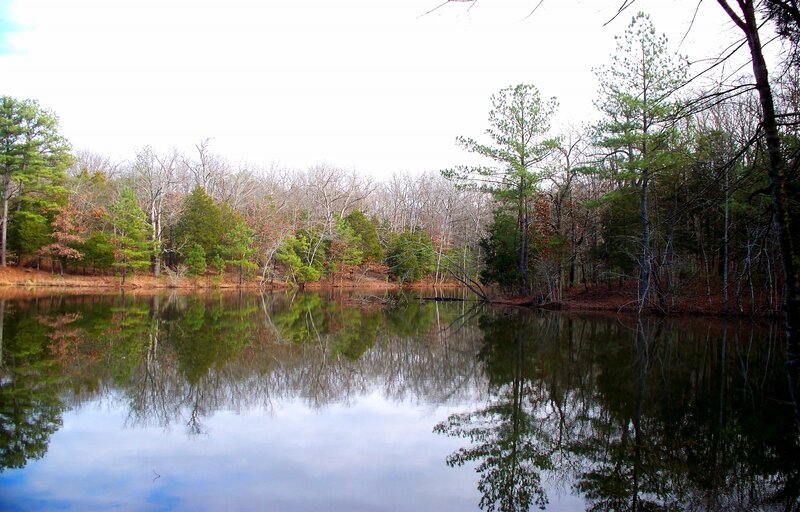 Calm Lake with Trees — Green, Serene, Autumn