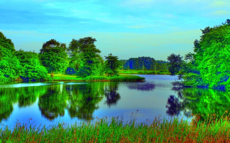 Calm Lake with Trees — Green, Serene, Morning